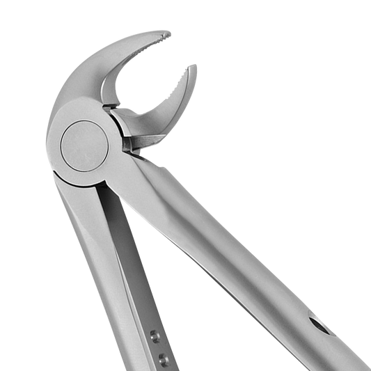 13 Lower Premolars Atraumair Extraction Forceps - HiTeck Medical Instruments