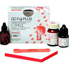 FUJI Plus 1:1 - Canada (GC) n° 442135