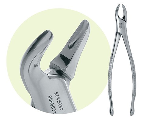 PREMIER #9065031 #151 Ext. Forceps