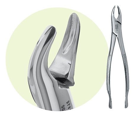 PREMIER #9065078 FORCEP #150 Adulte dentelé