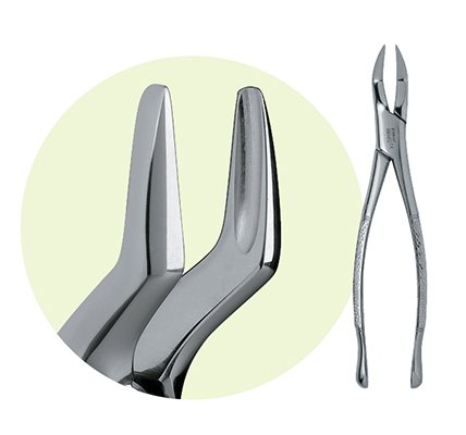 PREMIER #9065018 #65 Ext. Forceps