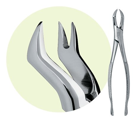 PREMIER #9065025 #88R PINCE SUPÉRIEURE POSTÉRIEURE