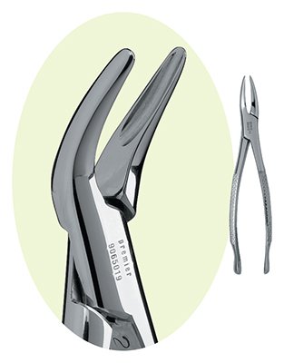 PREMIER #9065019 #69 RACINE DE FORCEP