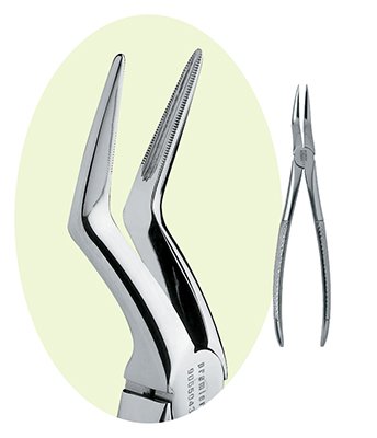 PREMIER #9065043 #URG RACINE DE FORCEP