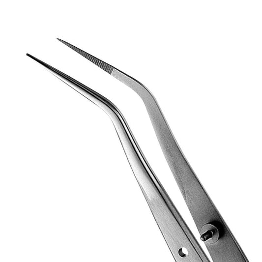 Pince à dresser HF DP19 #19 #769878