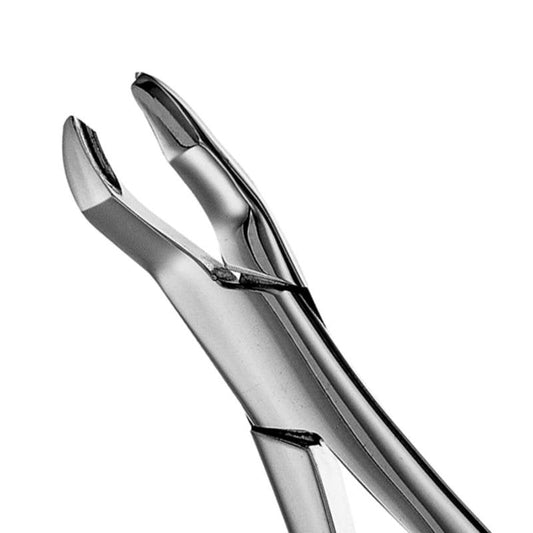 HF F53R       #53R Forceps       #136441