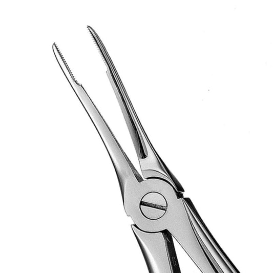 HF FX49    #49 Forceps, Serr.   #259586