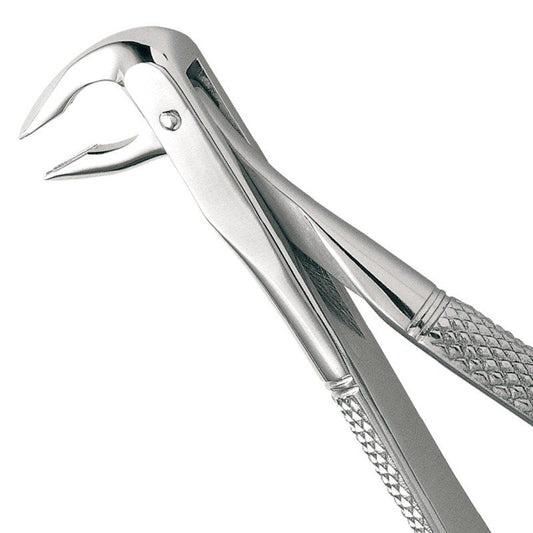 HF FX74N      #74N Europe Forceps Serrated  #198846