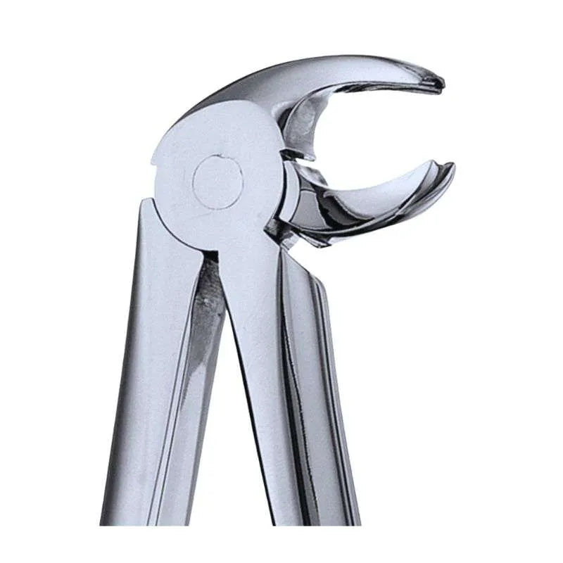 MD4 Mead Extraction Forceps, Serrated, European Style