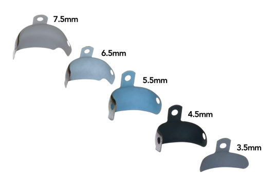 Matrice PALODENT Plus EZ Coat (DENTSPLY)