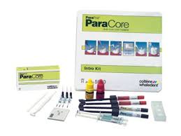 KIT DENTINE PARACORE n° C1500 25 ml (Coltene)