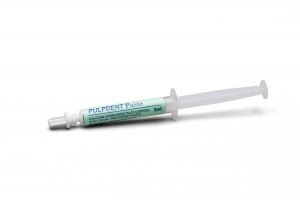 Pâte de bouchage pulpaire 3 ml Syr. #PSY