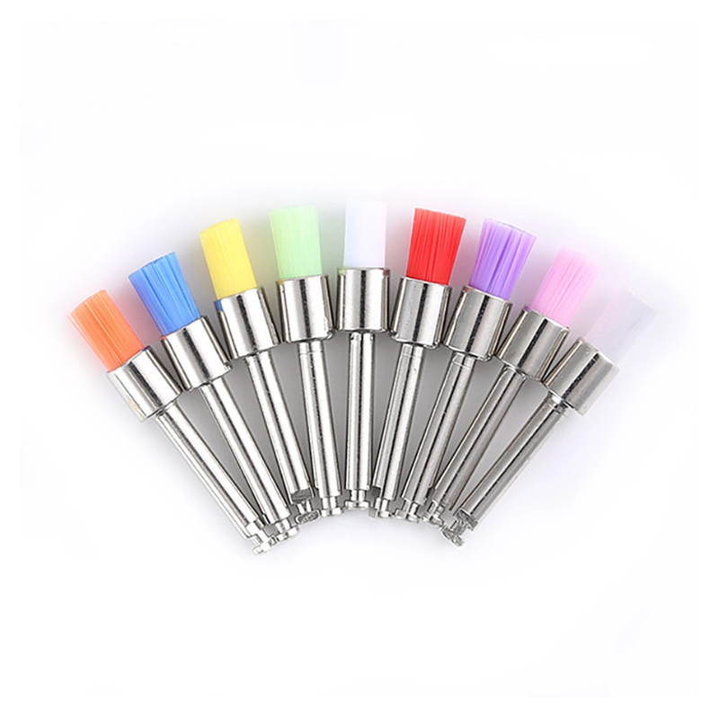 D2D Prophy Brush - Latch - Bristles - Assorted Colors
