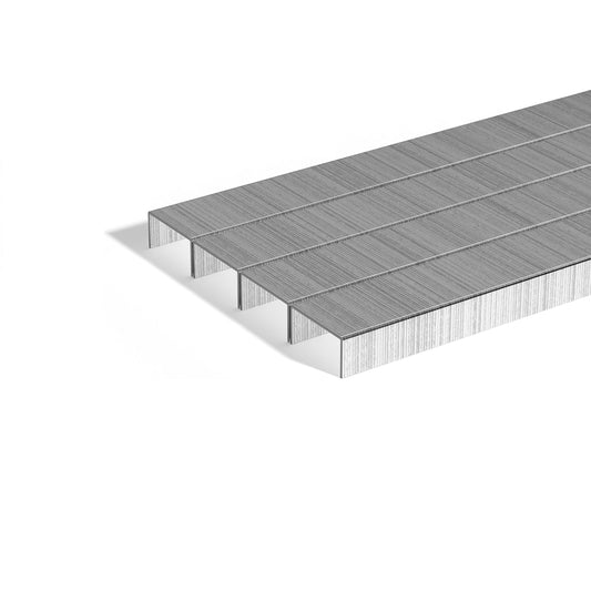 TRU RED Premium Staples - 1/4" Leg Length - 10000 Pack