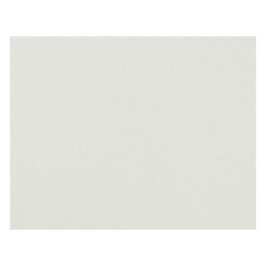 Panneau de chemin de fer Pacon 4 plis, blanc, 22" x 28", 25/pqt