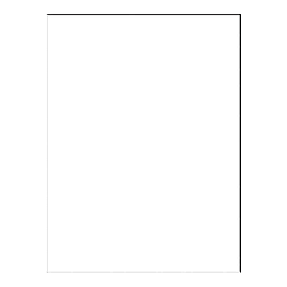 North American Paper Inc. Construction Paper - 12" x 18" - White - 48 Sheets
