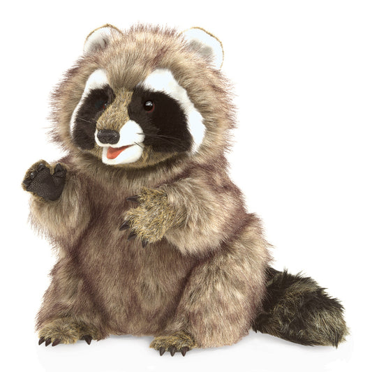 Marionnette Raton Laveur Folkmanis
