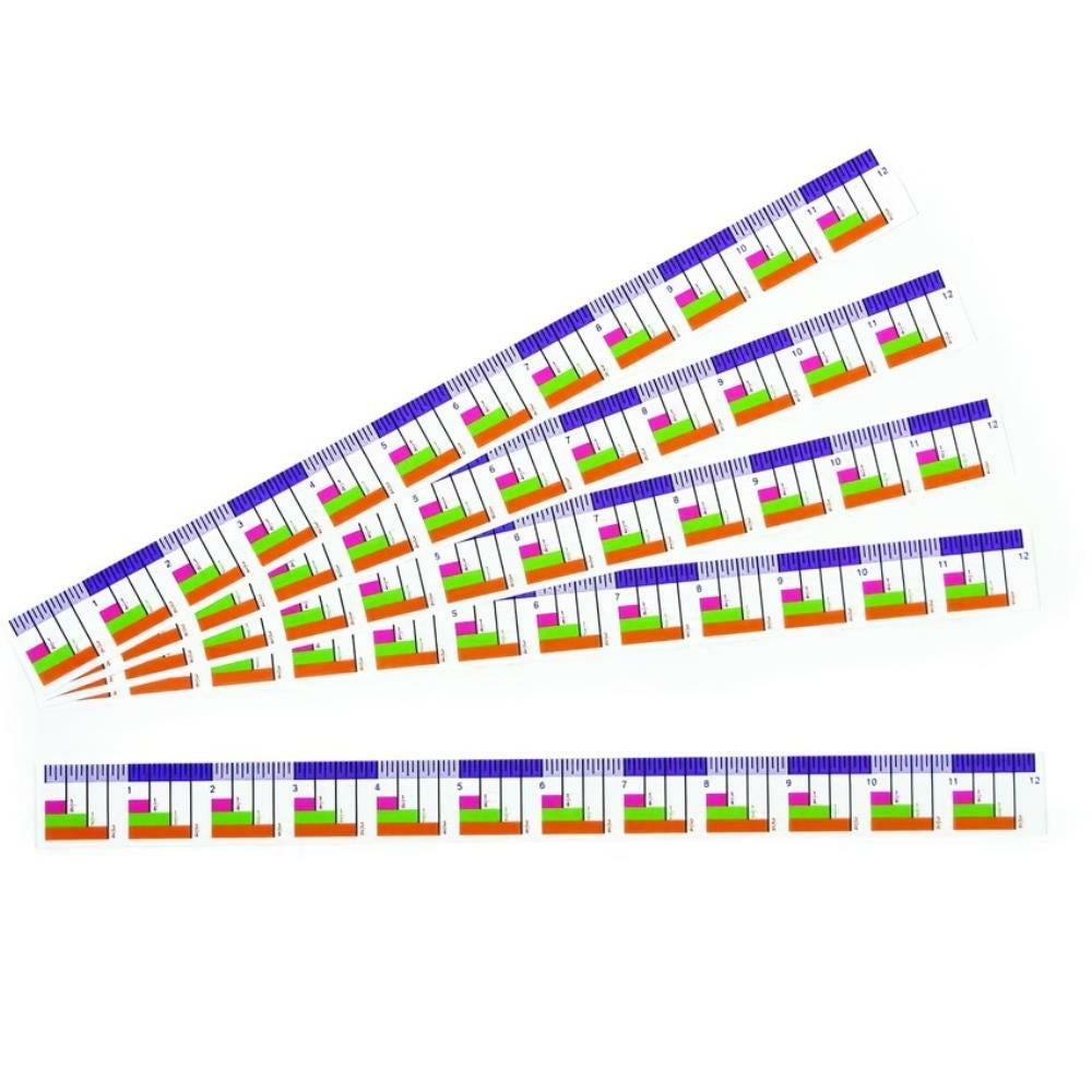 SI Manufacturing Ezy Ruler - 30.5 cm x 2.54 cm - 10 Set