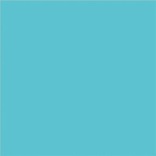 Papier de construction North American Paper Inc. – 12" x 18" – Bleu clair – 48 feuilles