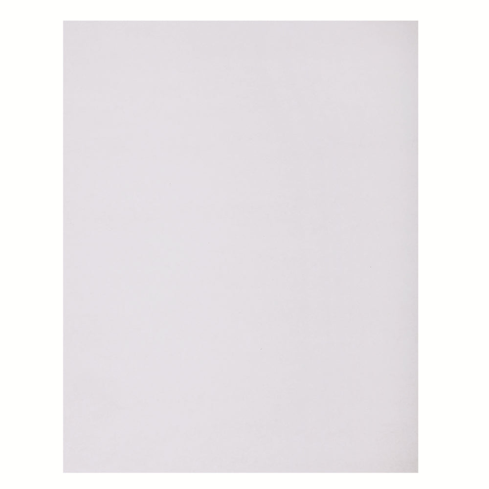 North American Paper 4 Ply Bristol - 22" x 28" - White - 48 Sheets