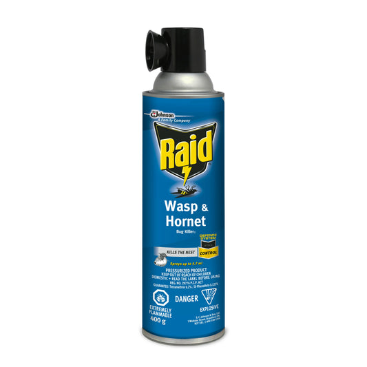 Raid Wasp & Hornet Killer, 400g