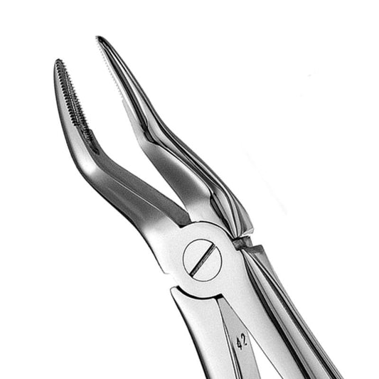 HF FX51    #51 Euro Style Root Forceps, Serr.   #252778