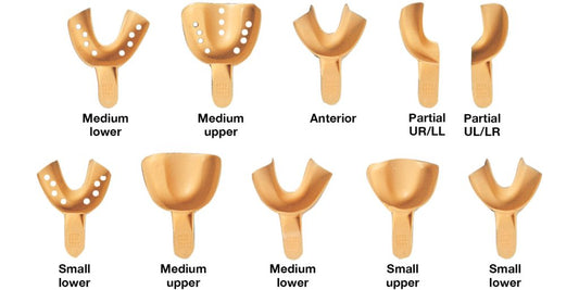 Porte-empreintes jetables perforés Sani-Trays – Paquet de 12