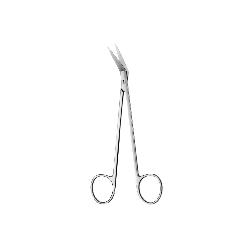 Locklin Gum Scissor, Straight Shanks, 16.5CM - D2D HealthCo.