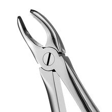 Load image into Gallery viewer, 7 Serrated Upper Premolars Extraction Forceps - D2D HealthCo.
