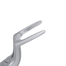 Load image into Gallery viewer, 97 Upper Roots Serrated Extraction Forceps
