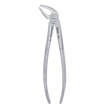 Load image into Gallery viewer, 4 Lower Incisors, Canines Extraction Forcep - D2D HealthCo.
