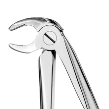 Load image into Gallery viewer, 13 Serrated Lower Premolars Extraction Forceps
