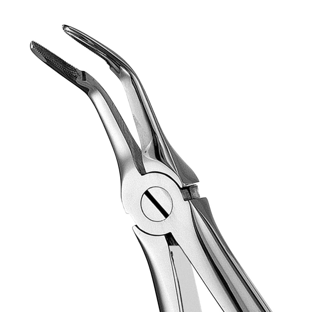 46L Lower Roots Serrated Extraction Forceps - D2D HealthCo.