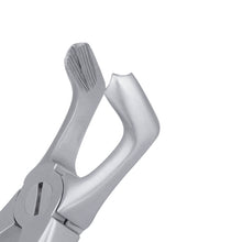 Load image into Gallery viewer, 79 Serrated Lower Molars Extraction Forceps
