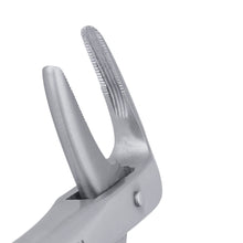 Load image into Gallery viewer, 233 Lower Roots Serrated Extraction Forceps - D2D HealthCo.
