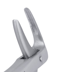 233 Lower Roots Serrated Extraction Forceps - D2D HealthCo.
