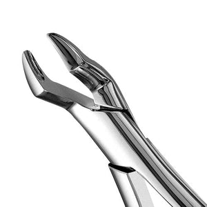 10S Upper Molars Extraction Forcep - D2D HealthCo.
