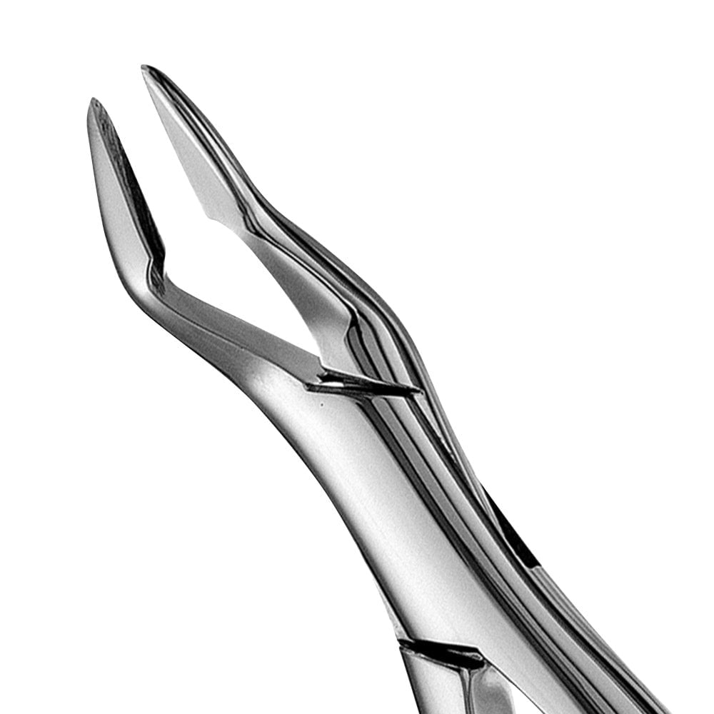 32A Parmly Upper Incisors & Canines Extraction Forceps - D2D HealthCo.