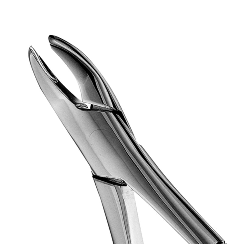 62 Upper & Lower Incisors, Canines, Premolars Extraction Forcep - D2D HealthCo.