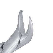 Load image into Gallery viewer, 16 Cowhorn Lower Molars Extraction Forceps - D2D HealthCo.
