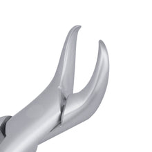 Load image into Gallery viewer, 23 Cowhorn Lower Molars Extraction Forceps
