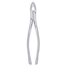 Load image into Gallery viewer, 151AS Split Beaks Serrated Lower Incisors, Canines &amp; Premolars Extraction Forceps
