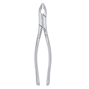 AF151 Apical Lower Universal Extraction Forcep