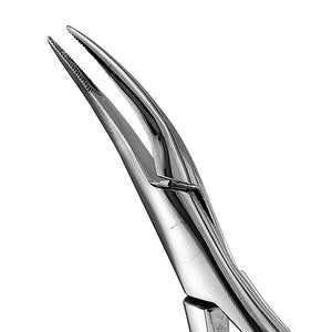 300 Upper Roots Serrated Extraction Forceps - D2D HealthCo.