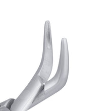 Load image into Gallery viewer, 301 Lower Roots Serrated Extraction Forceps - D2D HealthCo.

