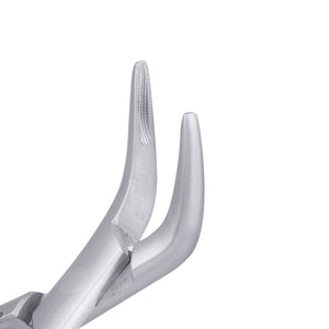 301 Lower Roots Serrated Extraction Forceps - D2D HealthCo.