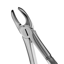 Load image into Gallery viewer, MD2 Mead Serrated Upper Molars Extraction Forcep - D2D HealthCo.
