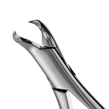Load image into Gallery viewer, 3FS Woodward Lower Molars Extraction Forceps - D2D HealthCo.
