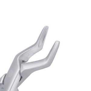 286 Upper Roots, Incisors & Premolars Extraction Forceps - D2D HealthCo.