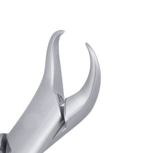 Load image into Gallery viewer, 23S Pedo Cowhorn 1st &amp; 2nd Lower Molars Extraction Forcep
